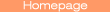 Zur Homepage